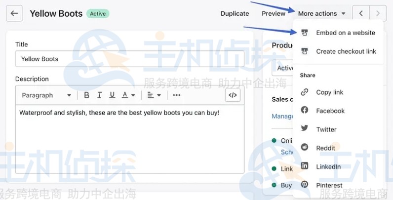 选择 Embed On A Website 选项