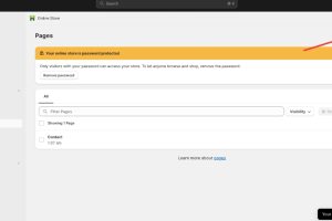 添加新Shopify页面