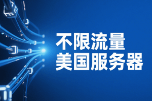 不限流量美国服务器租用指南