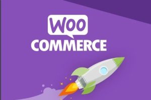 WordPress商城订单物理