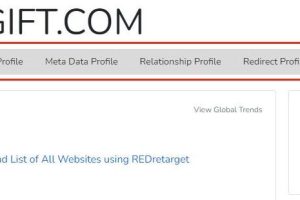 使用Builtwith查看​