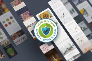 divi主题Sucuri 安全