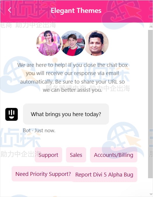 Divi在线聊天