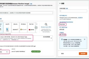 亚马逊免费云服务器Amazon EC2 T4g/x86领取教程