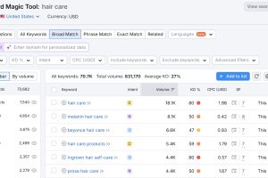 SEMrush 的Keyword Magic Tool