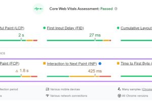 PageSpeed洞察报告