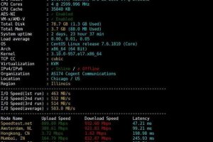 CPU/硬盘IO和上传下载速度测试