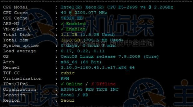 RAKsmart韩国裸机云服务器硬盘读写