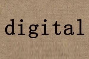 digital域名