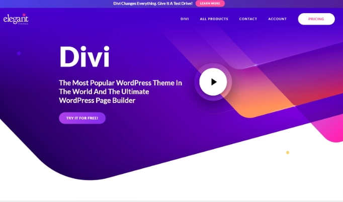 Divi主题