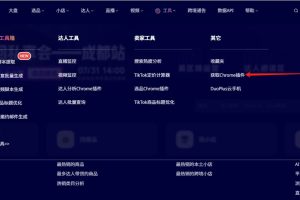 点击获取Chrome插件