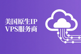 2025年高性价比的美国原生IP VPS商家推荐