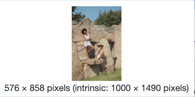 用户在浏览器中实际看到的图像大小