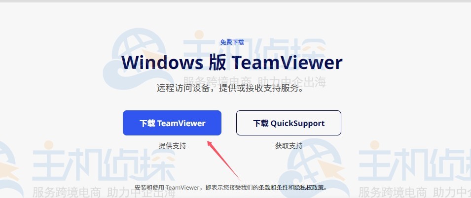 下载TeamViewer
