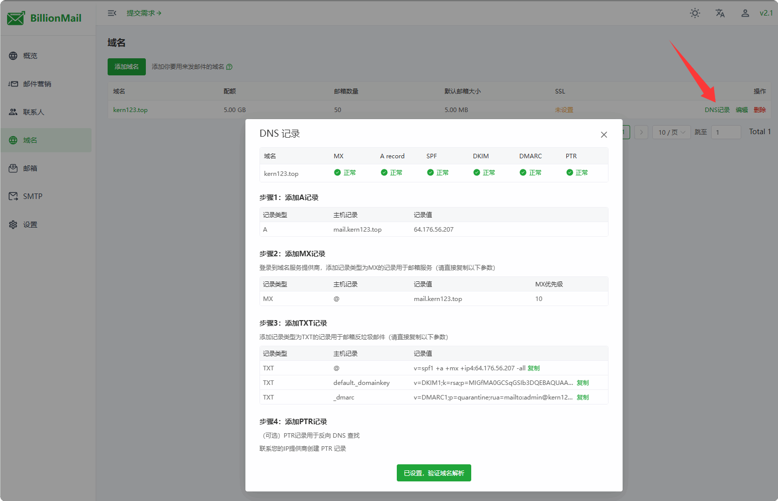BillionMail配置DNS记录