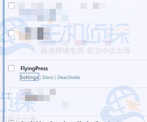 激活FlyingPress插件
