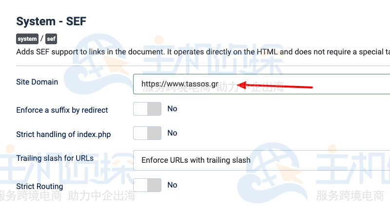 System-SEF插件 Site Domain选项