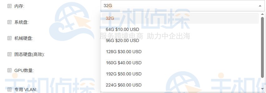 RAKsmart服务器内存