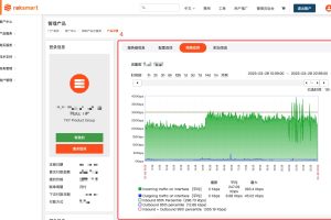 RAKsmart服务器基本查看