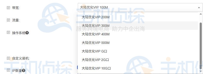 RAKsmart线路大小