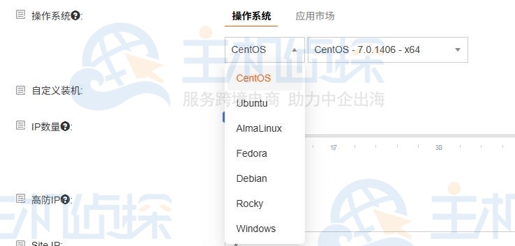 RAKsmart服务器系统