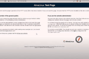 在浏览器中验证安装