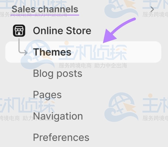 单击在线商店的主题