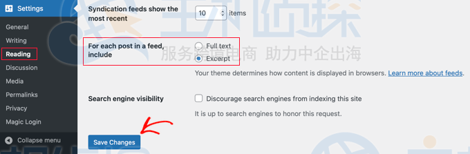 在主页和档案页使用摘录