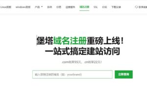 堡塔域名注册