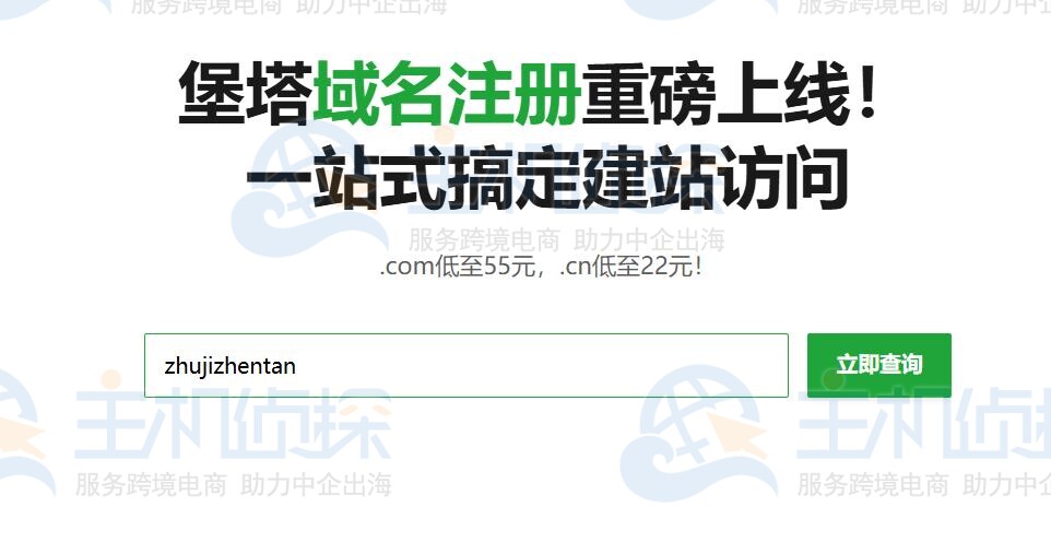 查询域名可行性