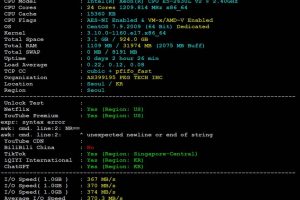 RAKsmart韩国服务器硬件读写