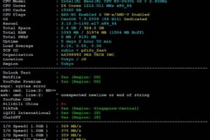 RAKsmart韩国服务器硬件读写