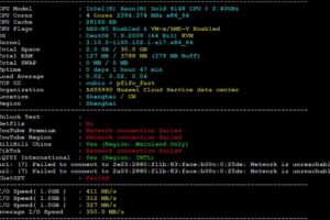 莱卡云上海BGP云服务器CPU硬件、硬盘读写