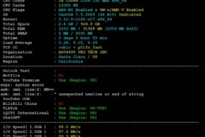 RAKsmart美国服务器