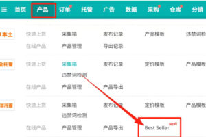 Temu全球Best Seller款