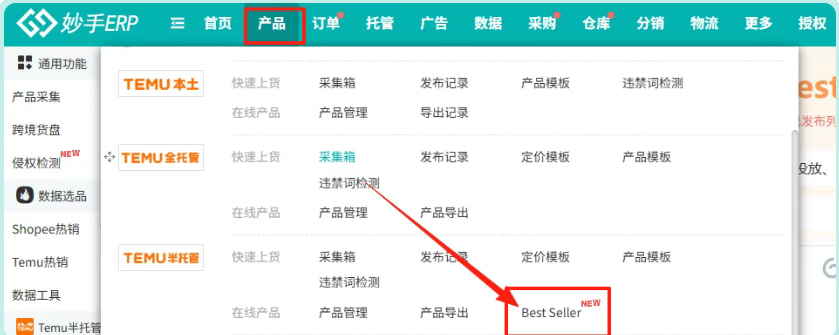 Temu全球Best Seller款