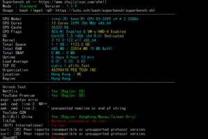 RAKsmart香港裸机云服务器E5-2620综合评测视频