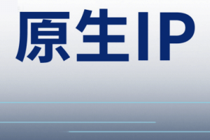 原生IP定义/优势/应用场景全面解读