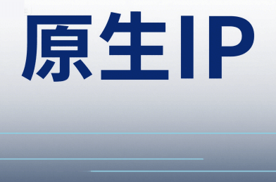 原生IP定义/优势/应用场景全面解读