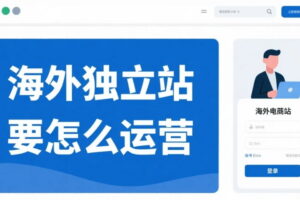 海外独立站运营