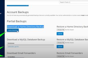 备份旧的cPanel账户​