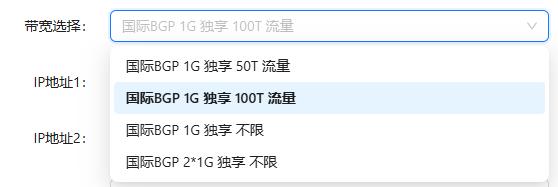 RAKsmart G口/50T美国服务器仅$30/月