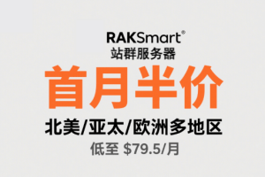 RAKsmart大陆优化站群首月半价