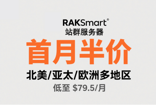 RAKsmart大陆优化站群首月半价