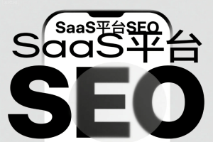 SaaS平台企业SEO优化指南