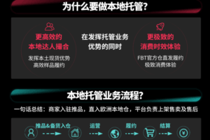 TikTok Shop本地托管