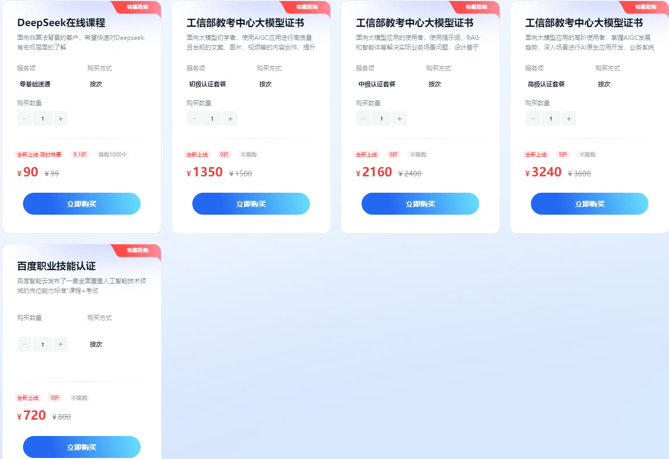 大模型增值服务