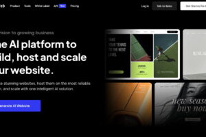 10Web开启跨境电商一件代发业务