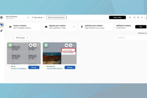 单击三个点并选择克隆网站