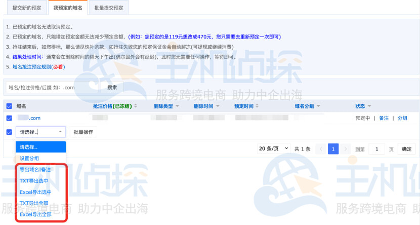 我预定的域名新增导出功能